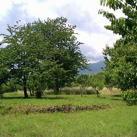 Villa Cirasellaetna à SantʼAlfio Extérieur photo