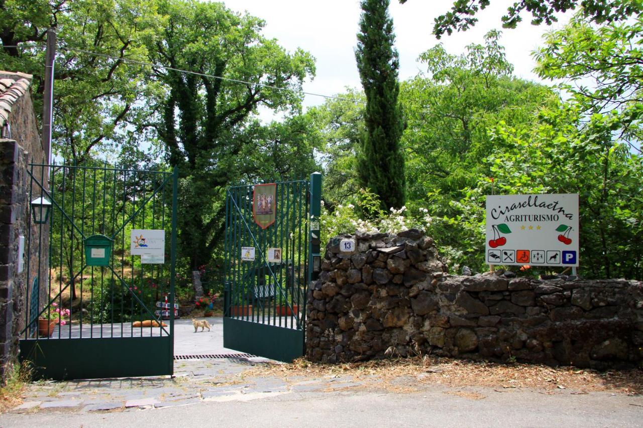 Villa Cirasellaetna à SantʼAlfio Extérieur photo