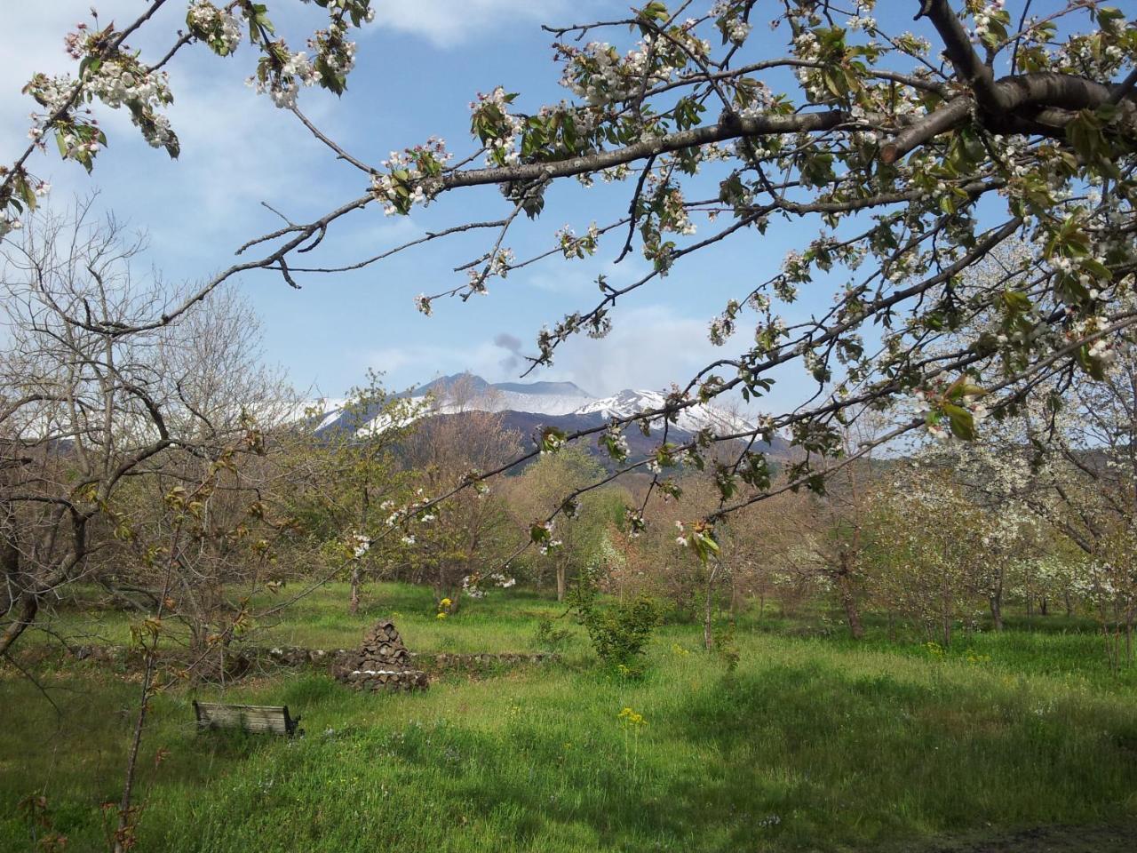 Villa Cirasellaetna à SantʼAlfio Extérieur photo