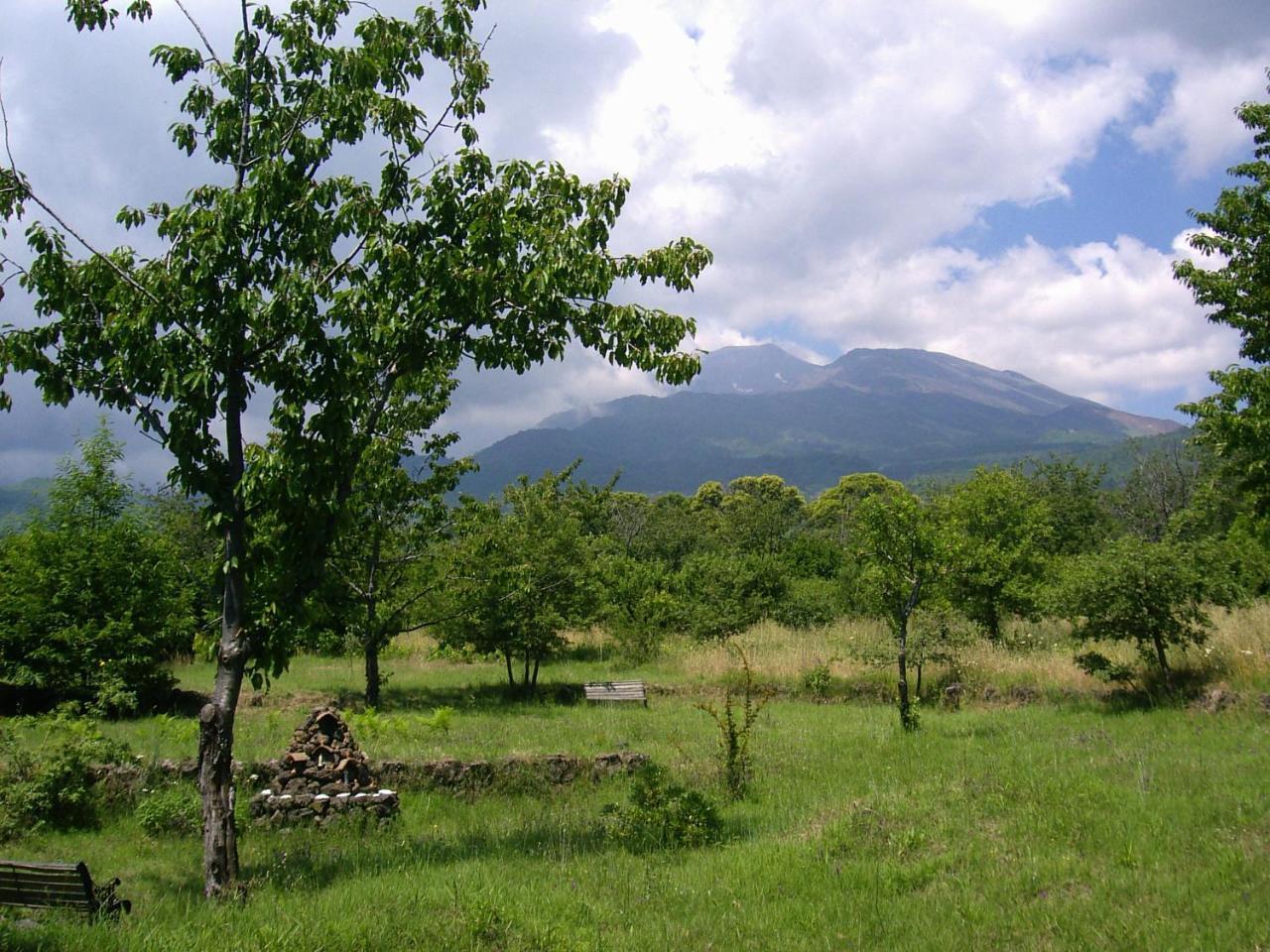 Villa Cirasellaetna à SantʼAlfio Extérieur photo