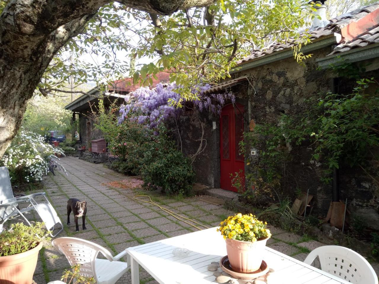 Villa Cirasellaetna à SantʼAlfio Extérieur photo