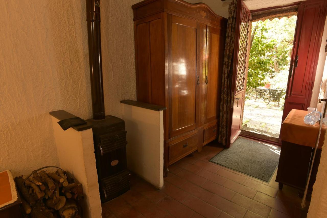 Villa Cirasellaetna à SantʼAlfio Extérieur photo