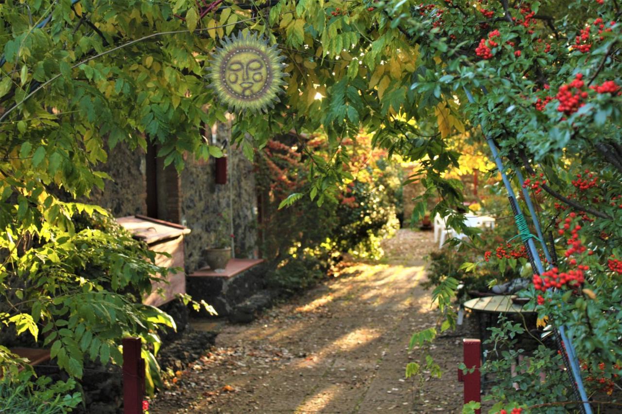 Villa Cirasellaetna à SantʼAlfio Extérieur photo